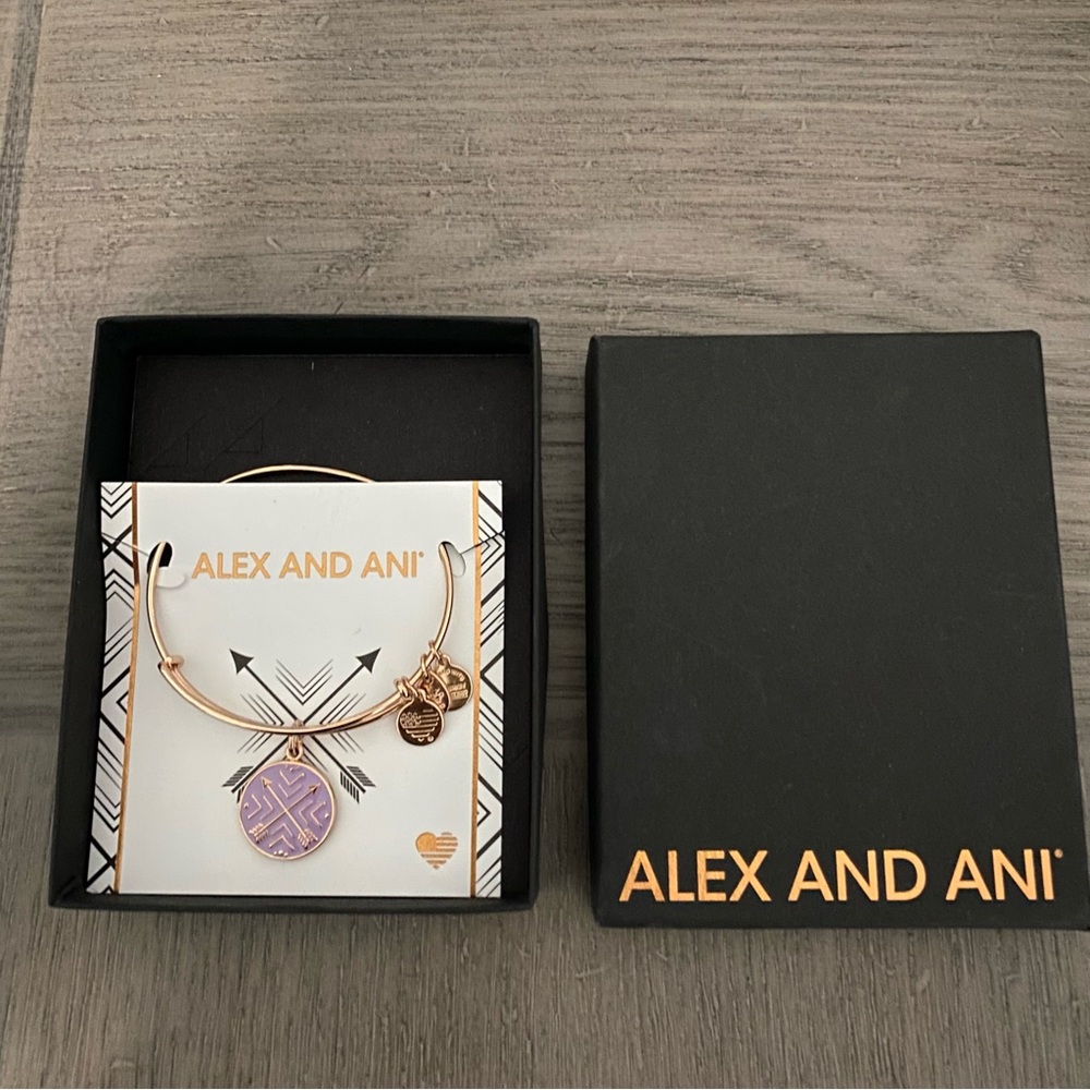 Alex and Ani Gold & Purple Arrows of Friendship Bracelet